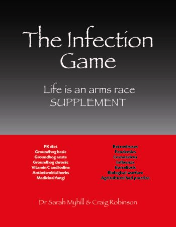 The Infection Game supplement
